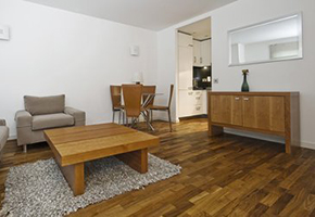 Dark wooden floor with wooden coffer table and grey rug